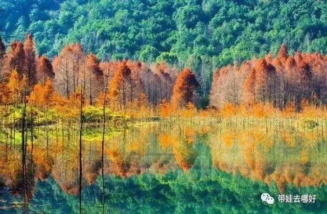 风光旅行社